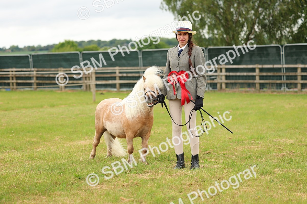 SBM_03535 - Class 58-67 - M&M Non Welsh Pony In hand