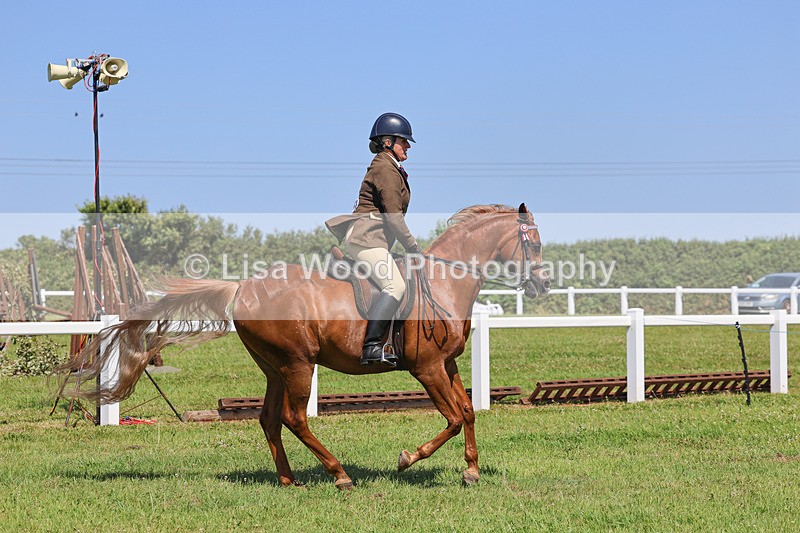 IMG_2218 - Class 37: Pure, Anglo & Part Bred Ridden Arab