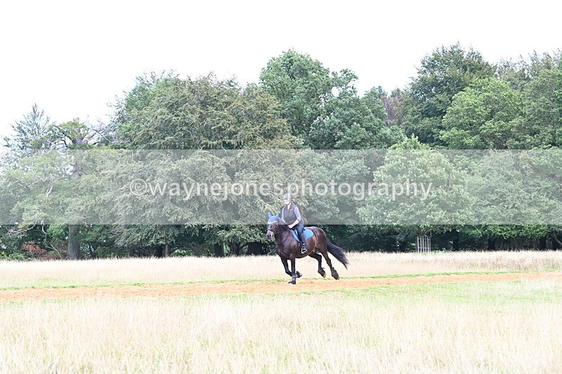 DSC_8708 - Time at Statue 13:52 to 14:33