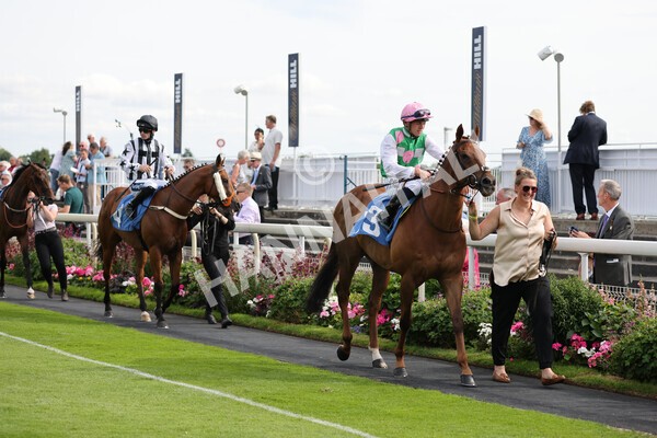 yr08072022r6-1 - Race 6 5.00pm Irish Thoroughbred Marketing Stakes