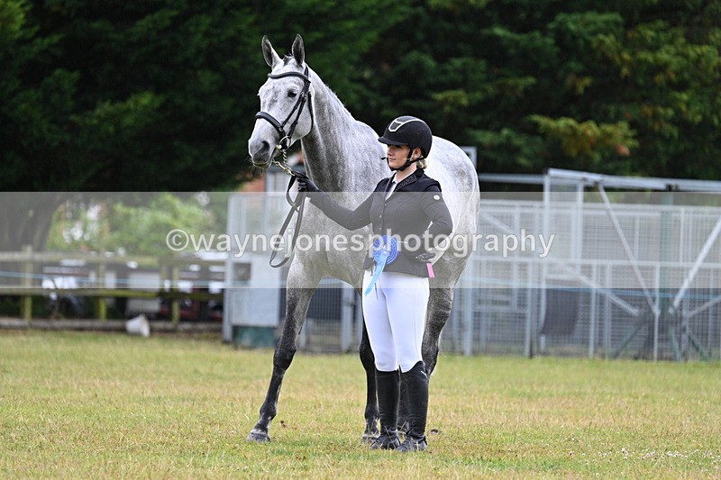 WJ7_6410 - Class 4a Prettiest Mare over 14hh