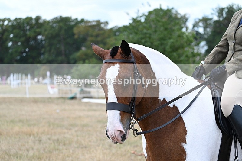 WJ7_5320 - Class 12 Ridden Cob