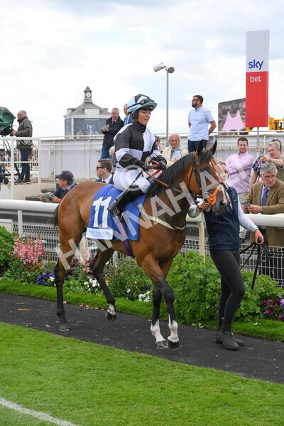 yr11062022r5-6 - Race 5 3.40pm The Pavers Foundation Catherine Memorial Sprint Stakes
