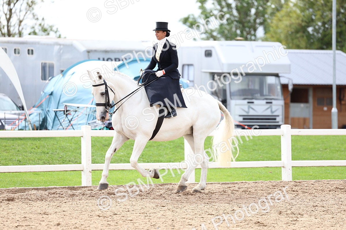 SBM_03419 - Class 24 - SSA Concours d'elegance (any age)