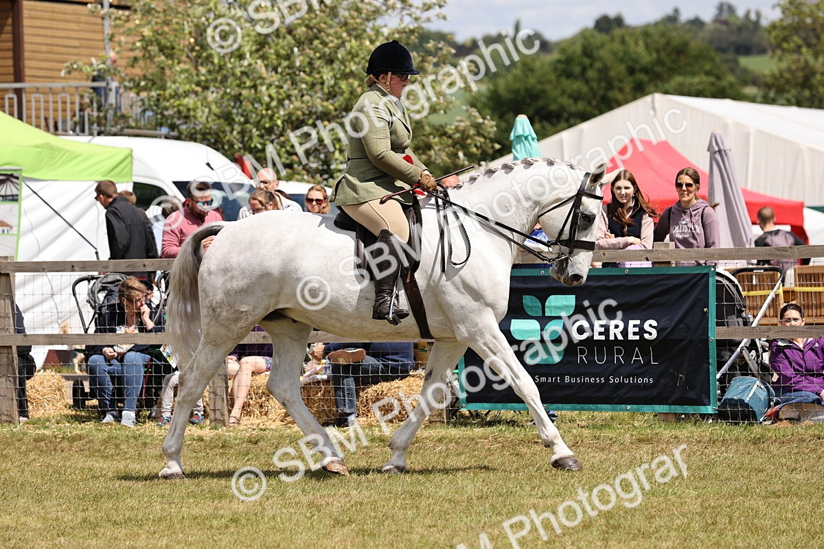 SBM_14782 - Class 88-89 - LIHS BSHA Rising Star of Ridden Hunter Type