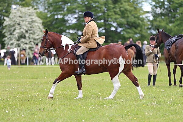 IMG_2851 - Working Hunter