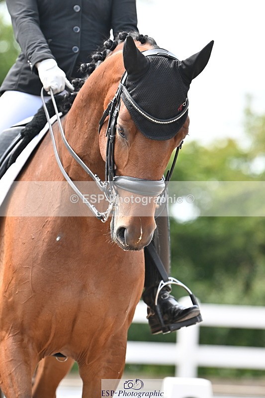 240621A-150351-04621 - Cls 13 BD Adv Medium 91