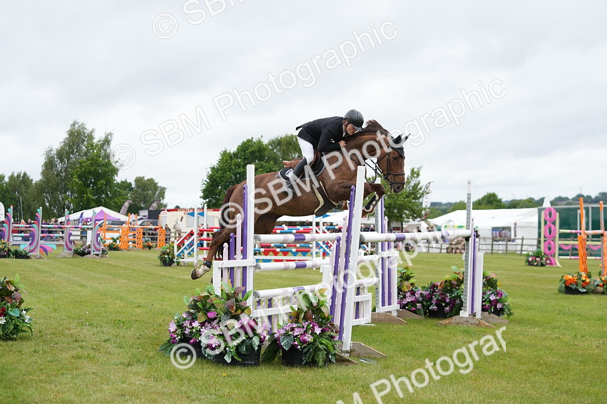 SBM_03432 - Class 201 - British Horse Feeds Speedi Beet Horse of the Year Show Grade  C