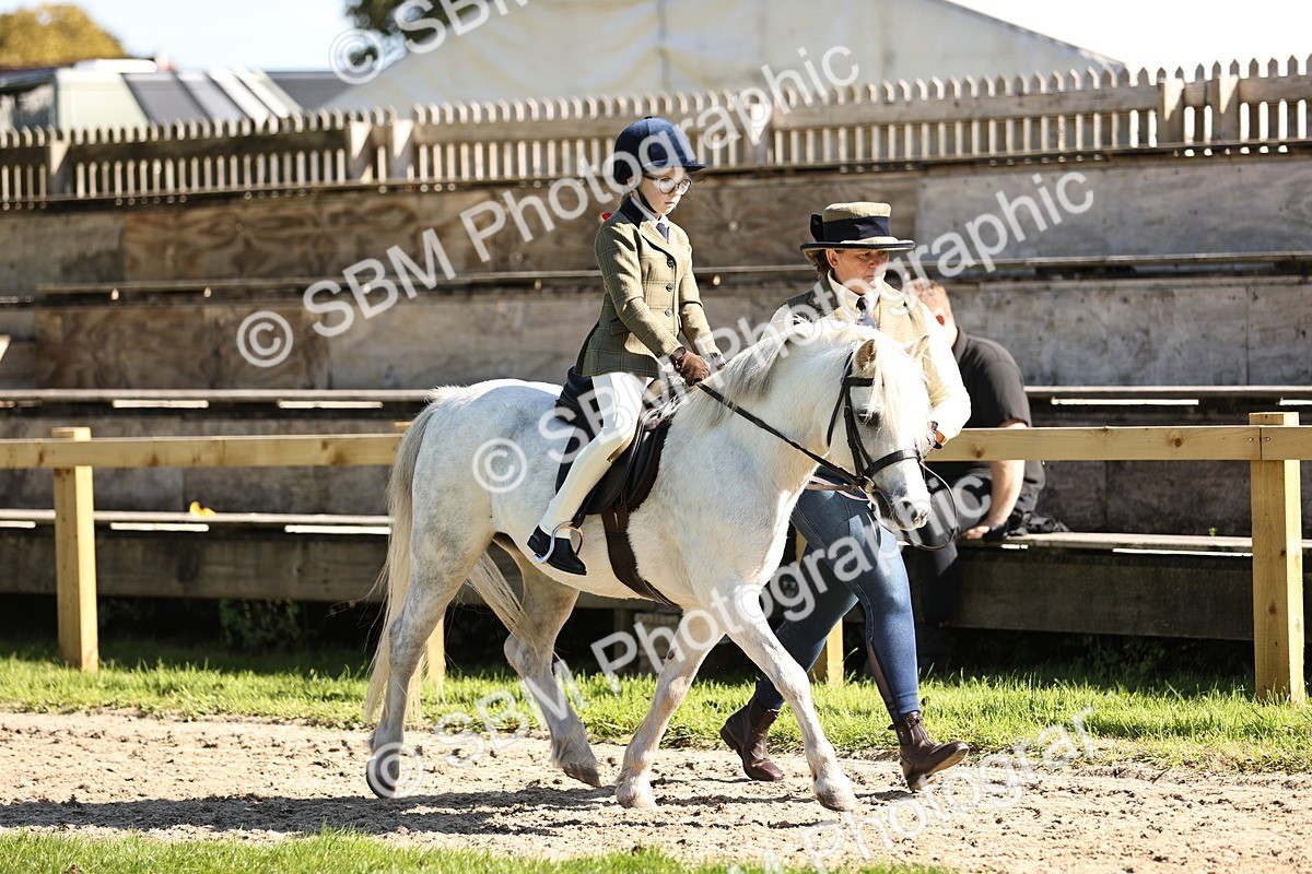 SBM_19220 - S3 - TSR Ridden Pony Showing