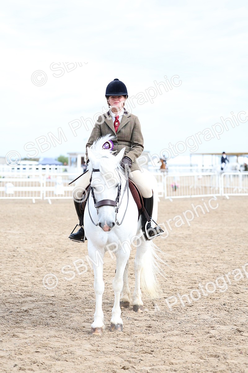 SBM_01535 - Class 17 - Prettiest Mare