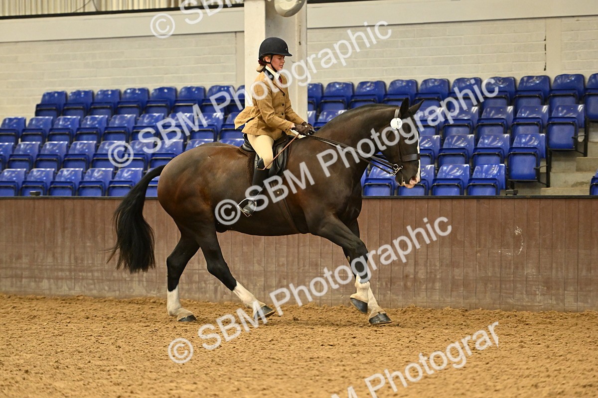SBM_002045 - Class 21 - BSHA Ridden Show Cob