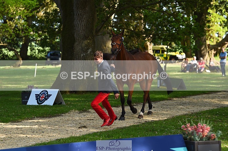 230524-170932-01310 - 173-HARIBO_LOUVO-Gaspard_Maksud-WEDTrotUp+DR