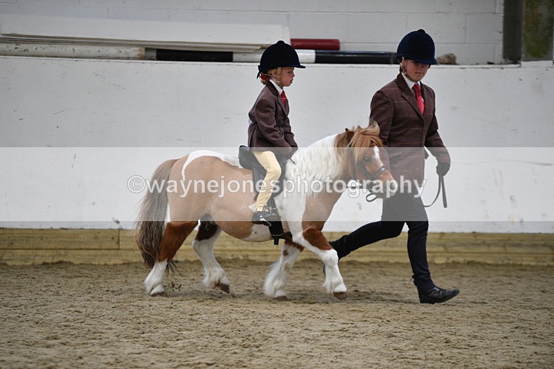 WJ5_6779 - Class 10 Childs Pony
