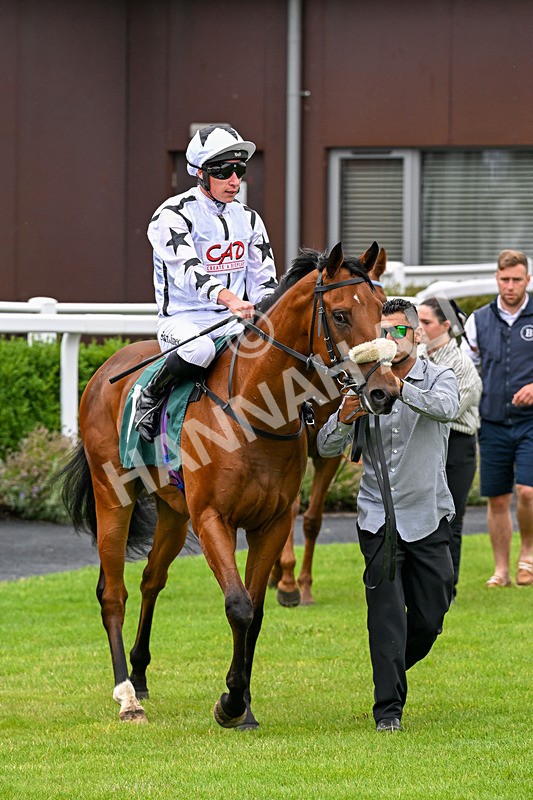 170826-Race 2-Harrys Pop-9228 - Race 2 14.45pm Well-Earned Retirement Neal Kidd Nursery Handicap