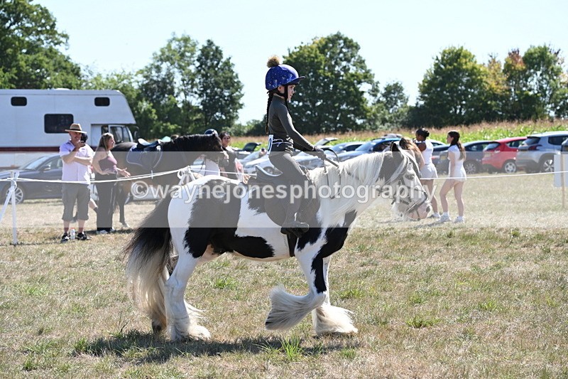 WJ6_8949 - Class 38 Ridden Riding Horse/Pony