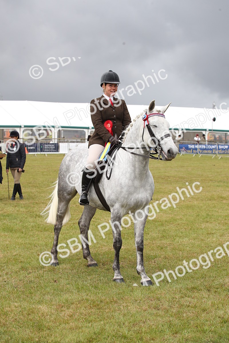 SBM_13166 - Class 95-96 - LIHS BSHA Rising Star Hack Riding Horse