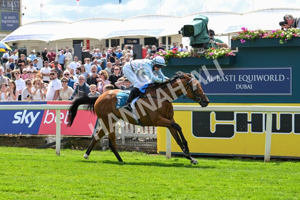 140625-Race 2-My Dream World-2327 - Race 2 2.25pm Queen Mother's Cup Handicap