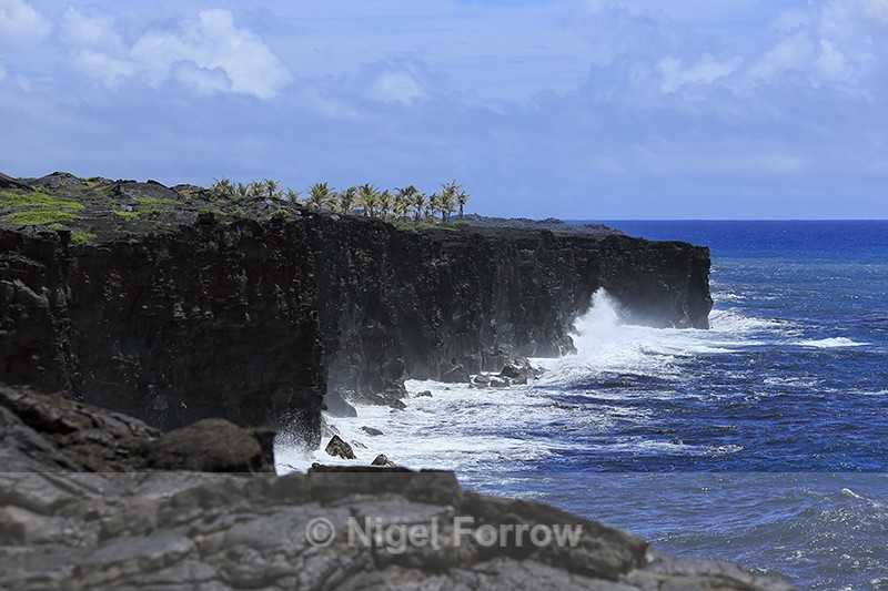 Lava cliffs near Holei Sea Arch, Hawaii - Hawaiian Islands, USA