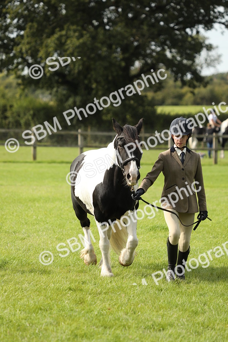 SBM_68694 - S40 - Junior Handler 9-12 Years