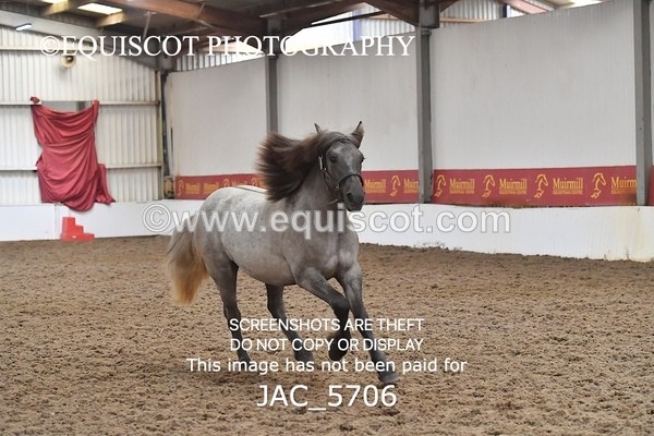JAC_5706 - 6 Glenmuir Niamh