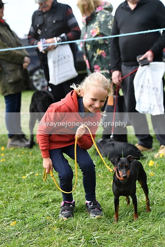 WJ5_0571 - Class 7 Best Terrier