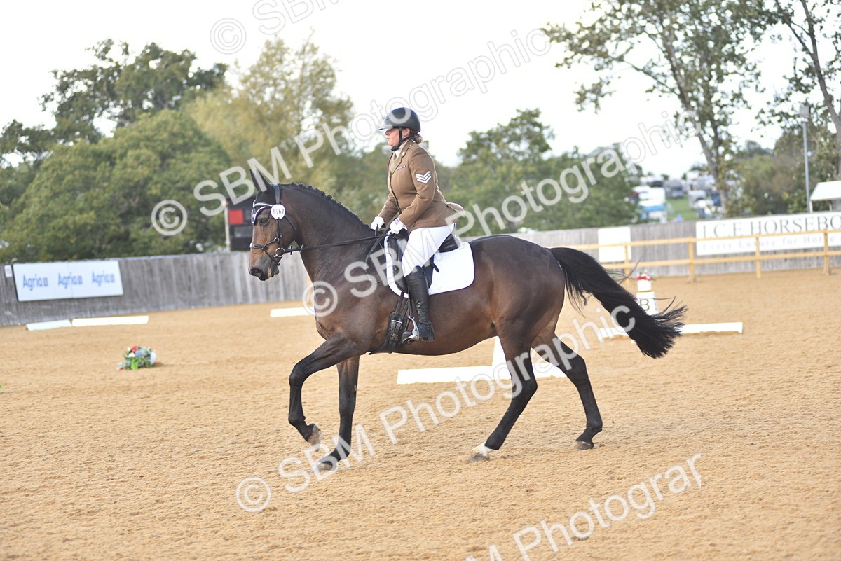 SBM_29601 - D16 -Small Tour Championship Novice 2