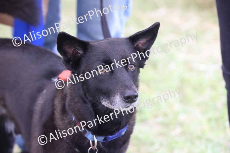 20250607-0496 - Misc