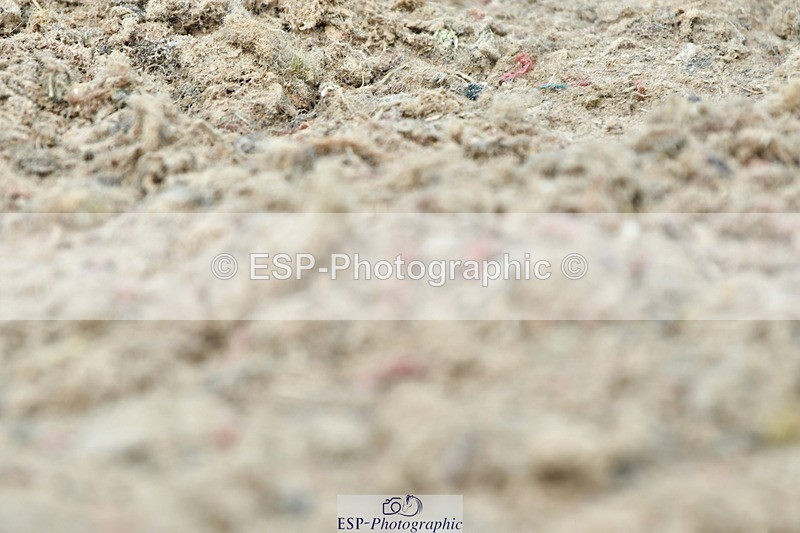 230701A-141144-06659 - Cls 10 Medium 69