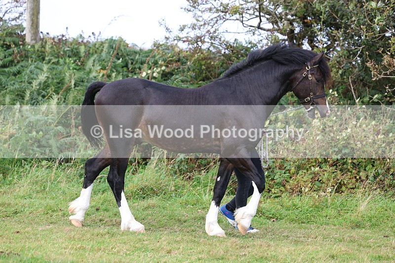 3E7A4043 - Class 15: Two Year Olds