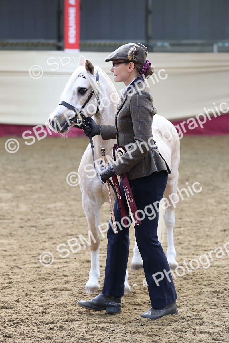 SBM_21918 - Class 901 - Supreme Final - IH  Diamond