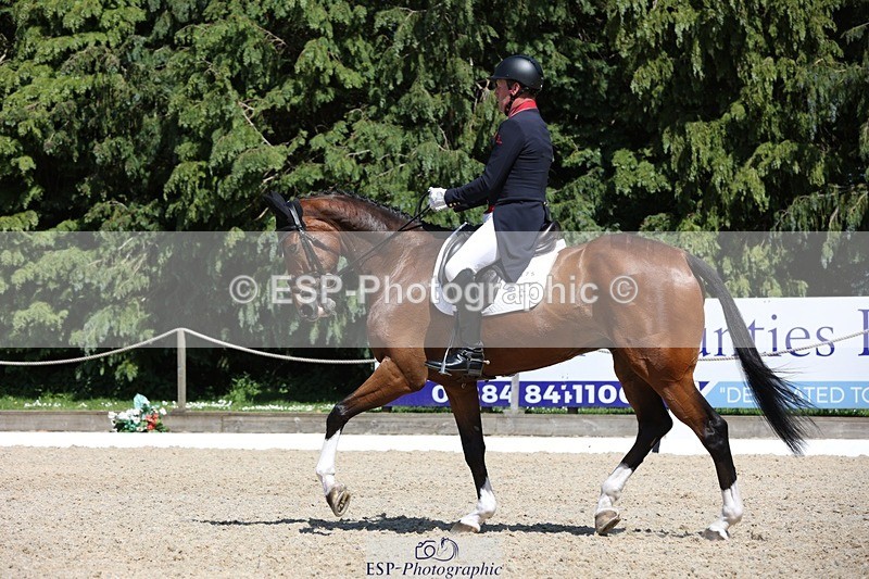 230526-144743-06550 - 375-FINLEY_DU_LOIR-Oliver_Townend-WEDTrotUp+DR