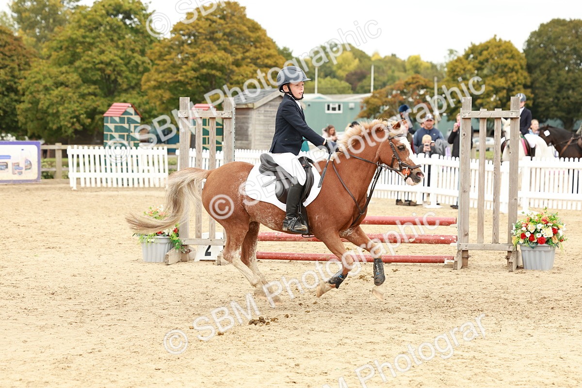 SBM_63585 - J12 - Junior Pony 55cm Championship