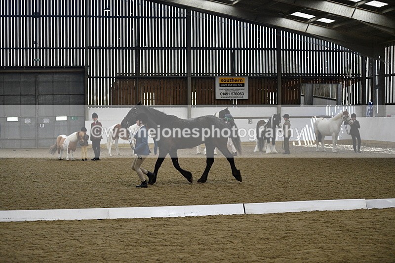 WJ5_4834 - Class 7 In hand coloured / odd coloured