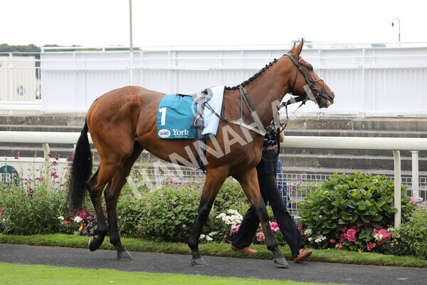 yr23072022r5-4 - Race 5 4.25pm Sky Bet UK's No1 Betting App Stakes