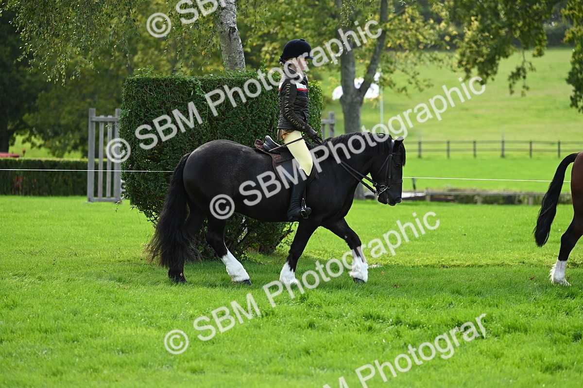 SBM_02608 - S3 - TSR Ridden Pony Showing