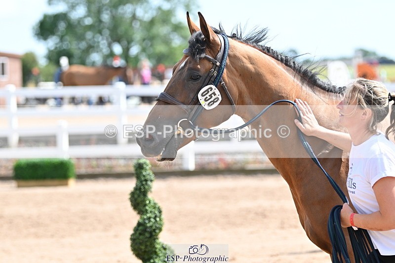 240717A-152023-02768 - Trot Up 3pm to 4pm