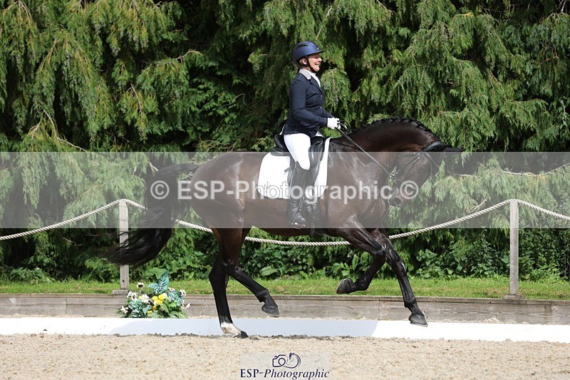 230812-152713-05137 - Cls 5 Novice Bronze 15.00 to End