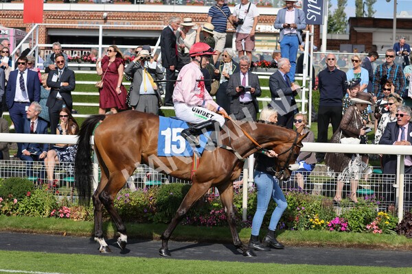 yr18082021r5-23 - Race 5 4.10pm Sky Bet Stakes