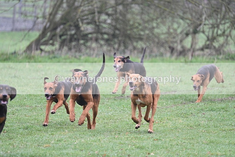 WJ7_0051 - Line 1 cam A