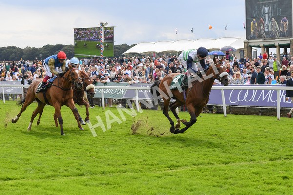250823-Race 2-Coltrane-0339 - Race 2 2.25pm Weatherbys Hamilton Lonsdale Cup Stakes