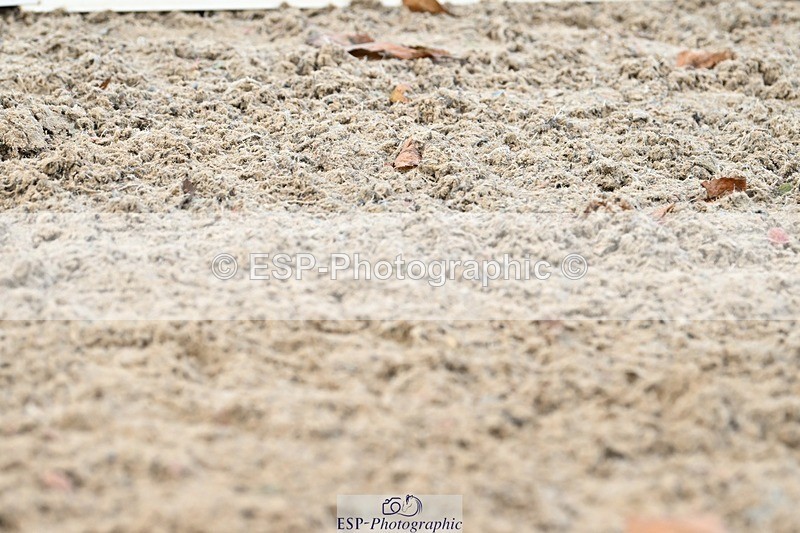 231110-153448-02245 - Cls 11 FEI PSG