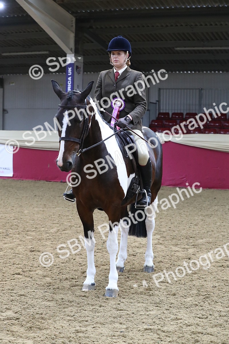 SBM_10455 - Class 102 Equitation (best rider) Adult