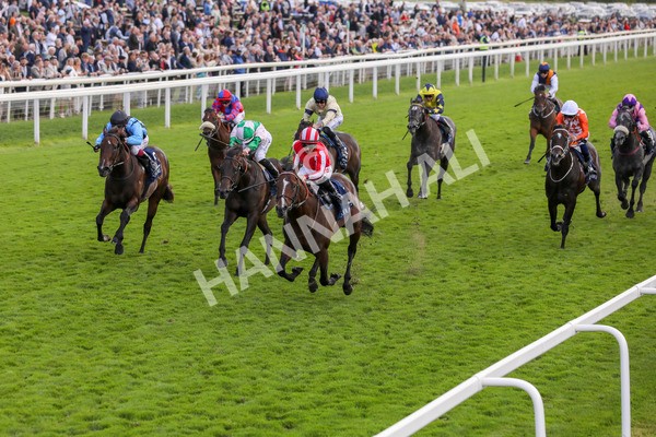 230824-Race 4-Bradsell-8408 - Race 4 3.35pm Coolmore Wootton Bassett Nunthorpe Stakes