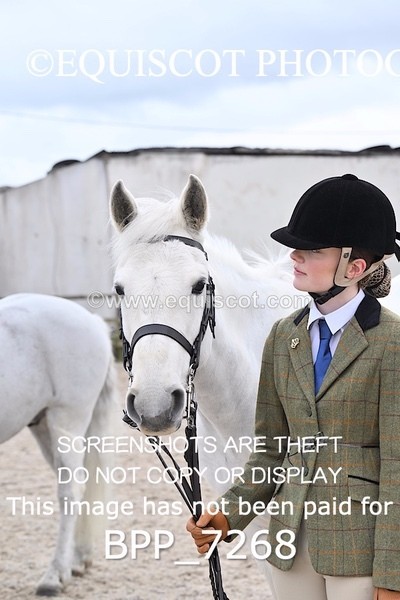 BPP_7268 - RING 1  (RIDDEN HORSES / IN HAND / VETERAN ETC)