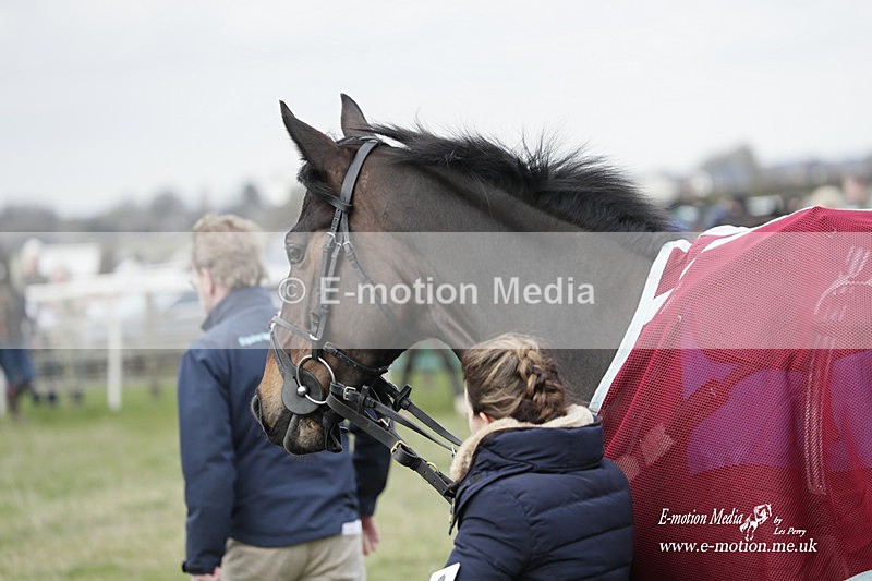 PtP 190323 511 - Oakley Hunt Point-to-Point Brafield-On-The-Green 19/03/23