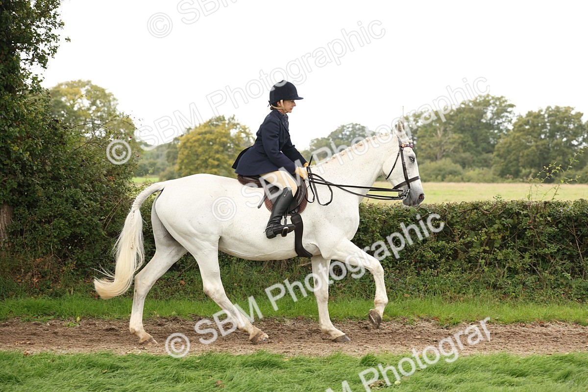 SBM_64194 - S65 - Riding Horse & Hack & Thoroughbred Ridden