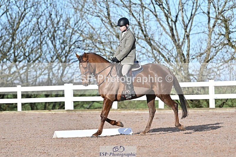 250125-102437-00174 - Dressage - CT Class 4 BE95 (80cm)