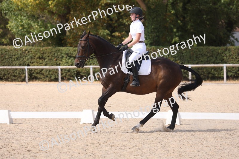 20260815-1056 - Class 6 - Novice 2