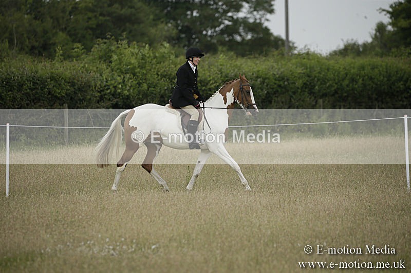 B230619-0203 - Bourne Valley Riding Club Summer Show 23/06/19