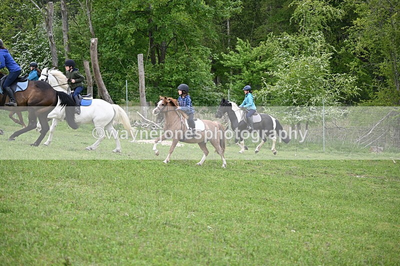 WJ6_3047 - A Camera